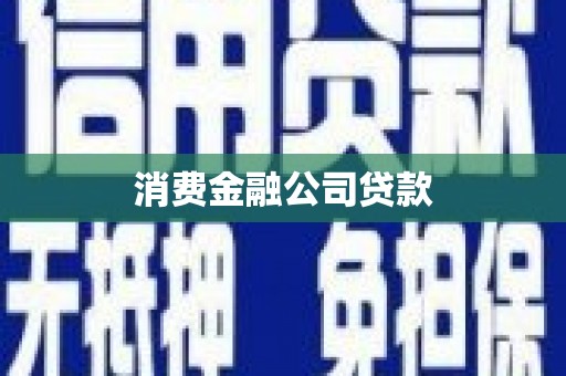 分宜消费金融公司贷款