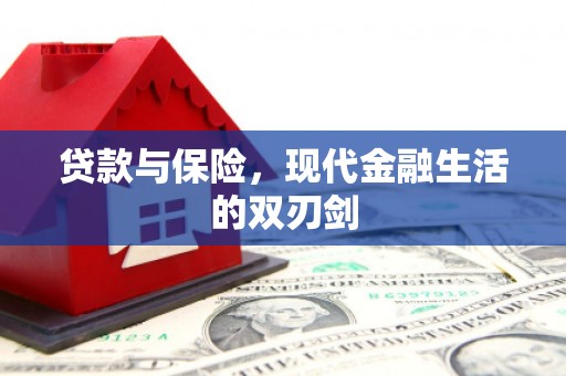 分宜贷款与保险，现代金融生活的双刃剑
