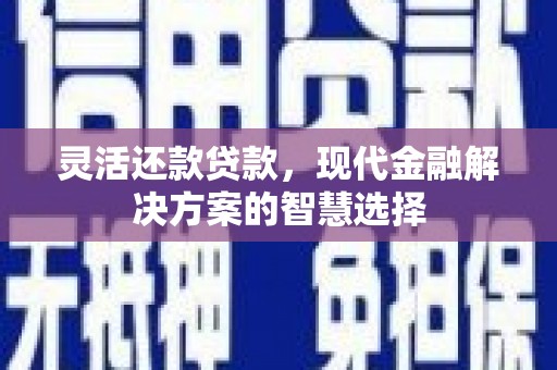 分宜灵活还款贷款，现代金融解决方案的智慧选择