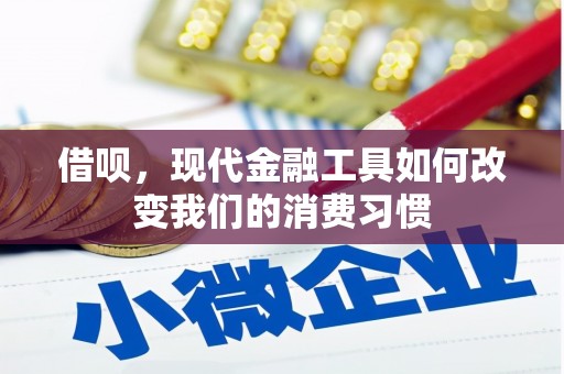分宜借呗，现代金融工具如何改变我们的消费习惯