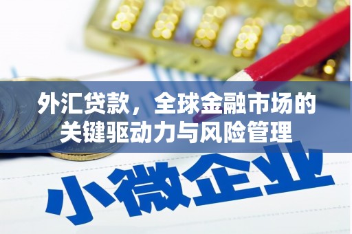 分宜外汇贷款，全球金融市场的关键驱动力与风险管理