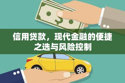 分宜信用贷款，现代金融的便捷之选与风险控制