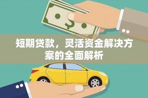 分宜短期贷款，灵活资金解决方案的全面解析