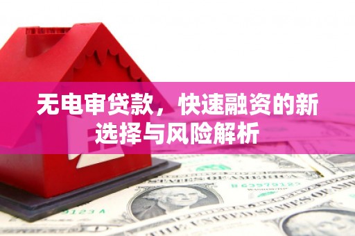 分宜无电审贷款，快速融资的新选择与风险解析