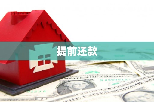 分宜提前还款