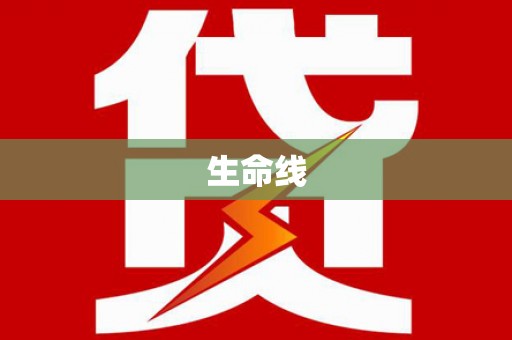 分宜生命线