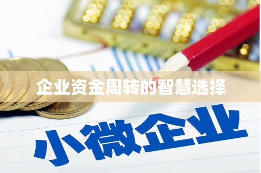 分宜企业资金周转的智慧选择