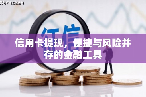 分宜信用卡提现，便捷与风险并存的金融工具