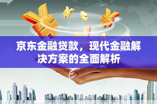 分宜京东金融贷款，现代金融解决方案的全面解析