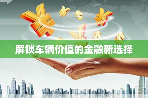 分宜解锁车辆价值的金融新选择