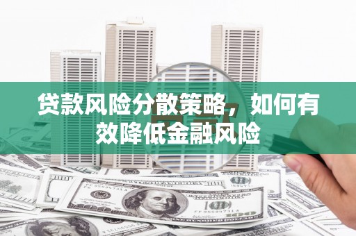 分宜贷款风险分散策略，如何有效降低金融风险