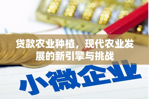 分宜贷款农业种植，现代农业发展的新引擎与挑战