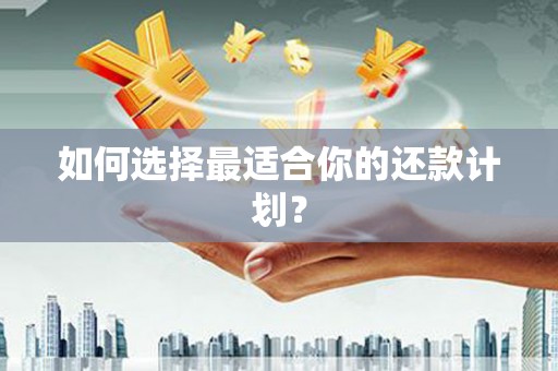 分宜如何选择最适合你的还款计划？