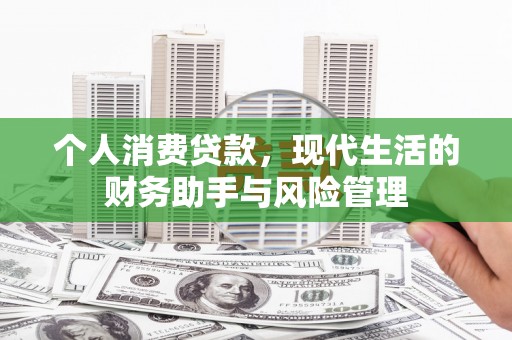 分宜个人消费贷款，现代生活的财务助手与风险管理