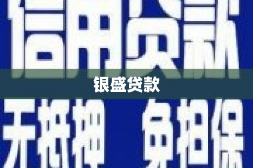 分宜银盛贷款