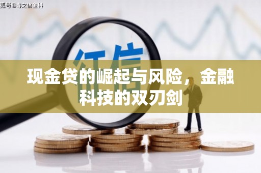 分宜现金贷的崛起与风险，金融科技的双刃剑