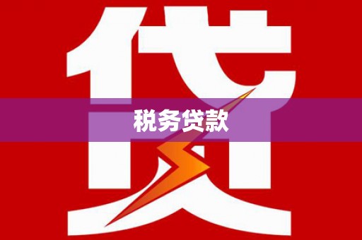 分宜税务贷款