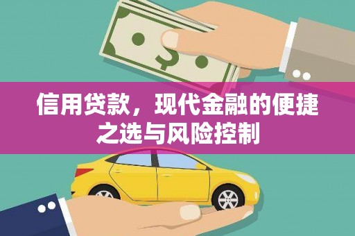 分宜信用贷款，现代金融的便捷之选与风险控制