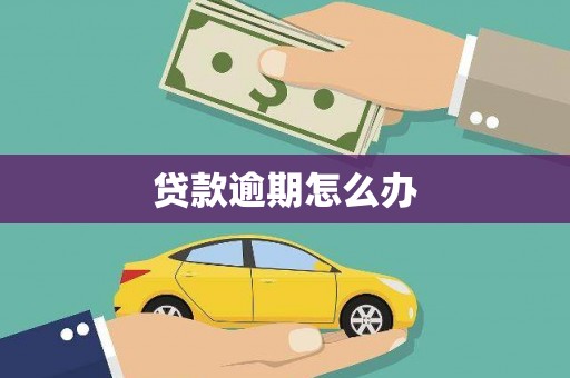分宜贷款逾期怎么办