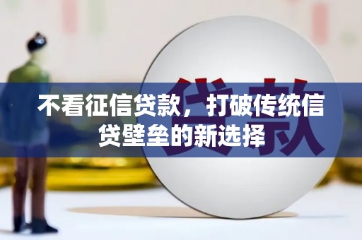 分宜不看征信贷款，打破传统信贷壁垒的新选择