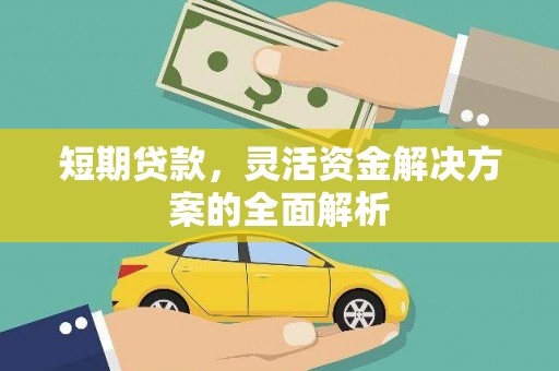 分宜短期贷款，灵活资金解决方案的全面解析