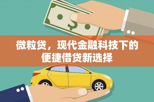 分宜微粒贷，现代金融科技下的便捷借贷新选择