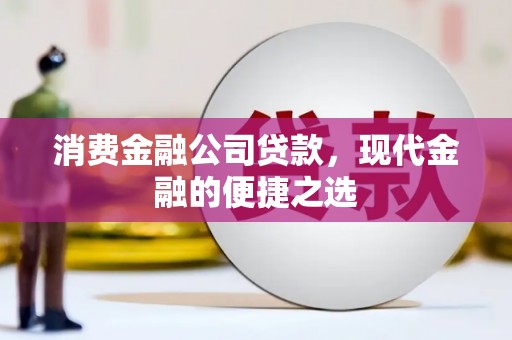 分宜消费金融公司贷款，现代金融的便捷之选