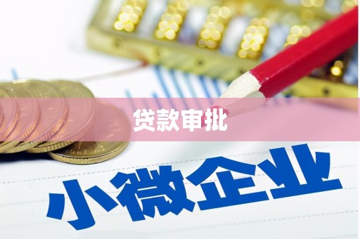 分宜贷款审批