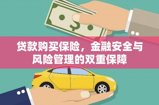分宜贷款购买保险，金融安全与风险管理的双重保障