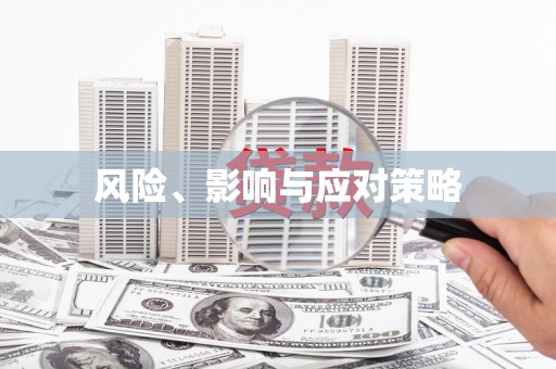 分宜风险、影响与应对策略
