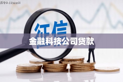分宜金融科技公司贷款