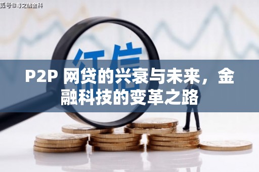 分宜P2P 网贷的兴衰与未来，金融科技的变革之路