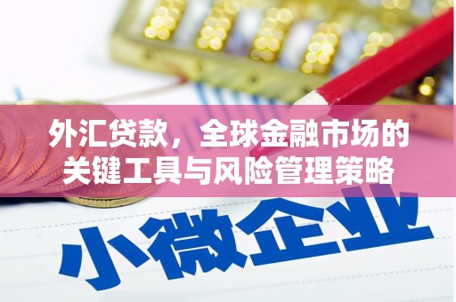 分宜外汇贷款，全球金融市场的关键工具与风险管理策略