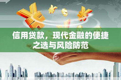 分宜信用贷款，现代金融的便捷之选与风险防范