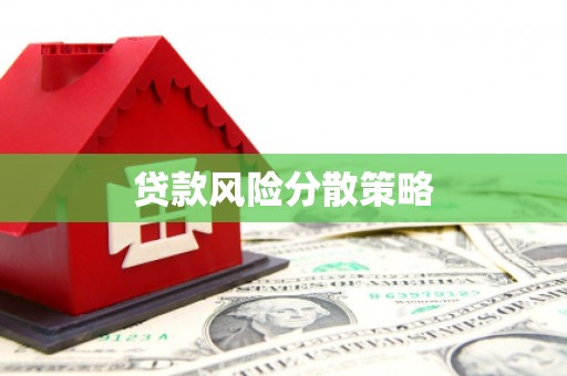 分宜贷款风险分散策略
