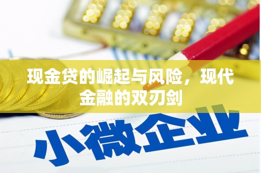 分宜现金贷的崛起与风险，现代金融的双刃剑