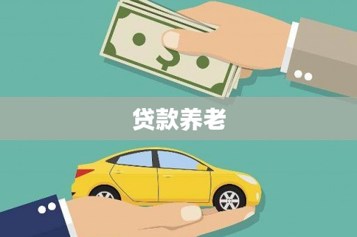 分宜贷款养老
