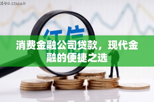 分宜消费金融公司贷款，现代金融的便捷之选