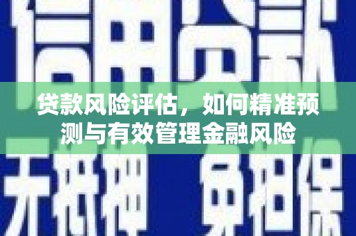 分宜贷款风险评估，如何精准预测与有效管理金融风险