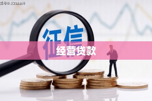 分宜经营贷款