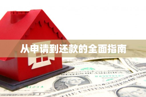分宜从申请到还款的全面指南