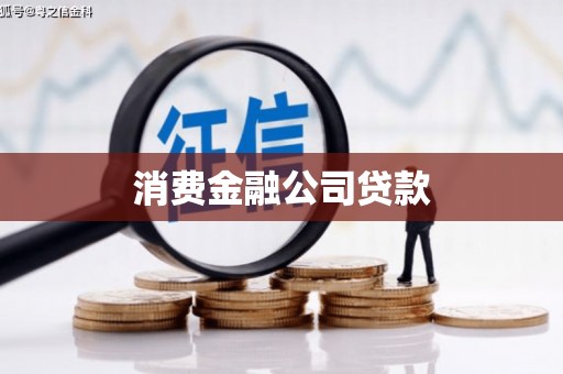 分宜消费金融公司贷款