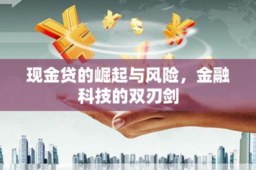 分宜现金贷的崛起与风险，金融科技的双刃剑