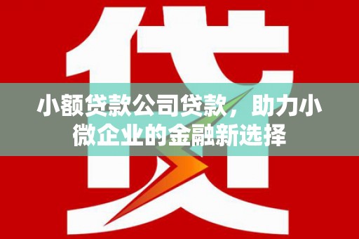 分宜小额贷款公司贷款，助力小微企业的金融新选择
