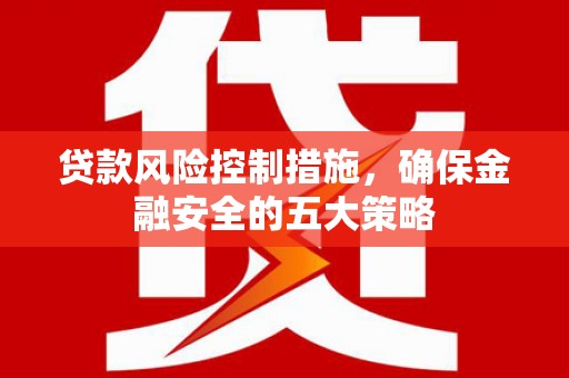 分宜贷款风险控制措施，确保金融安全的五大策略
