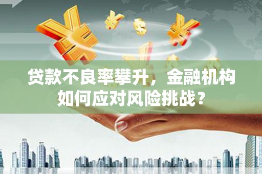 分宜贷款不良率攀升，金融机构如何应对风险挑战？