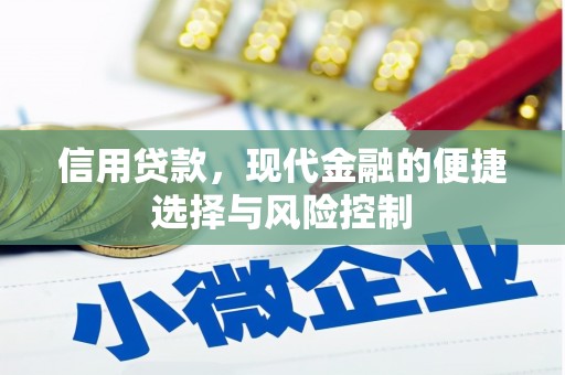 分宜信用贷款，现代金融的便捷选择与风险控制