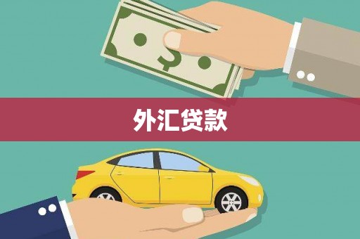 分宜外汇贷款
