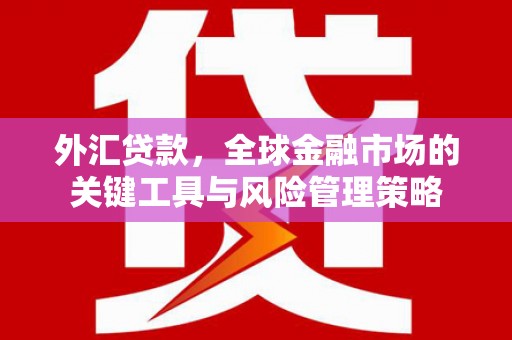 分宜外汇贷款，全球金融市场的关键工具与风险管理策略