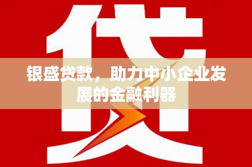 分宜银盛贷款，助力中小企业发展的金融利器